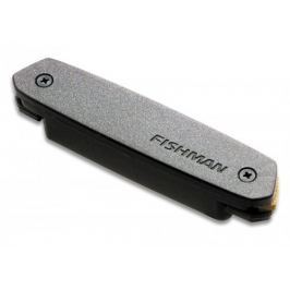 Fishman NEO-D Magnetic Soundhole Humbucker Pickup
