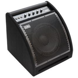 Soundking DS50