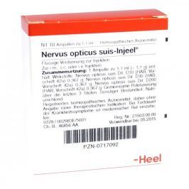 Nervus Opticus suis Injeel ampułki