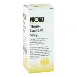 Phoenix Thuja lachesis spag. Tropfen