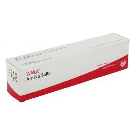 Wala Arnika maść